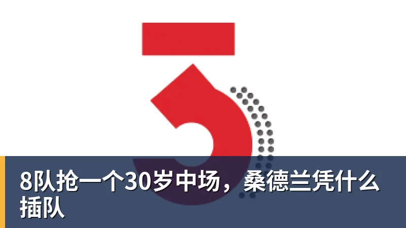 九游体育8队抢一个30岁中场，桑德兰凭什么插队
