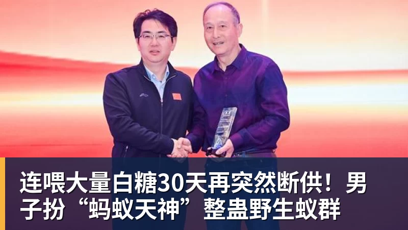 九游体育连喂大量白糖30天再突然断供!男子扮“蚂蚁天神”整蛊野生蚁群